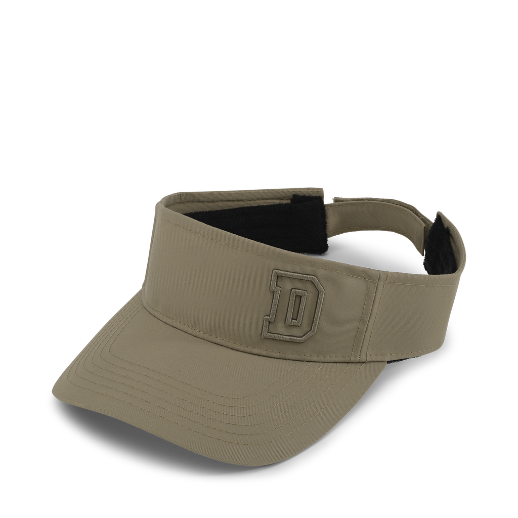 Day Winner D Visor